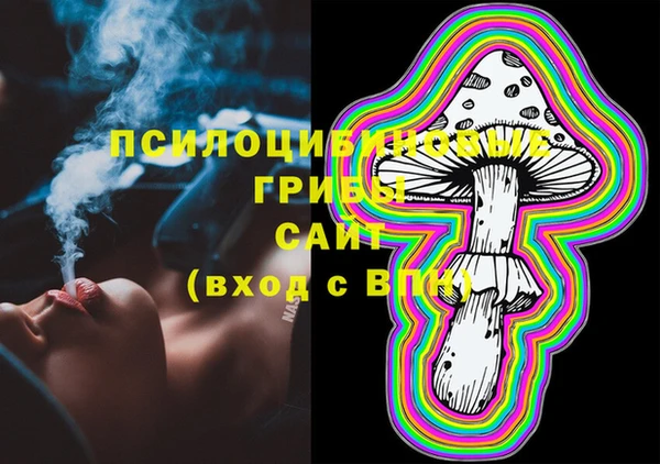индика Майский