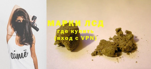 индика Майский