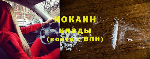 спиды Богородицк