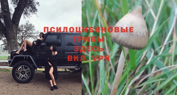 гашишное масло Магас
