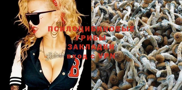 индика Майский