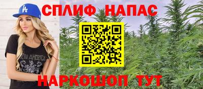кокс Кингисепп