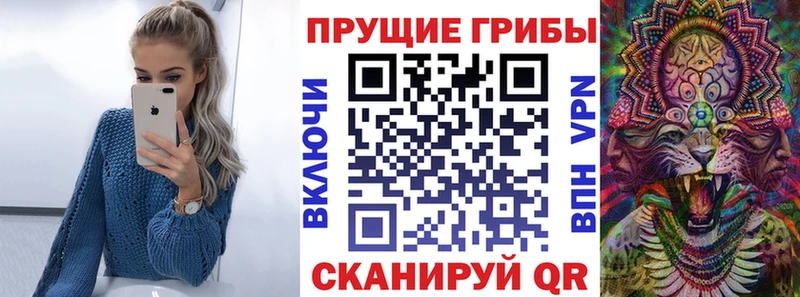 Псилоцибиновые грибы Magic Shrooms  Нижний Новгород 