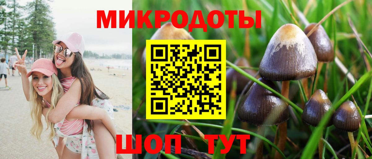 Нижний Новгород  Псилоцибиновые грибы Magic Shrooms  Вход с VPN 