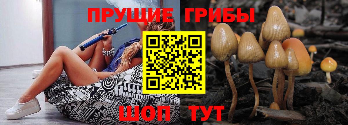 Псилоцибиновые грибы MAGIC MUSHROOMS Нижний Новгород